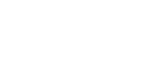 Birtsmorton Court Logo White